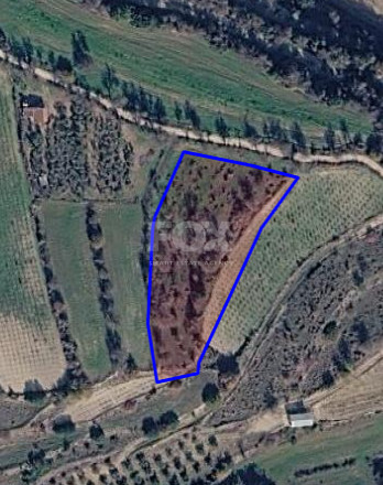 Large Field for Sale in Letymvou Village, Paphos