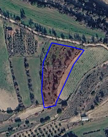 Large Field for Sale in Letymvou Village, Paphos