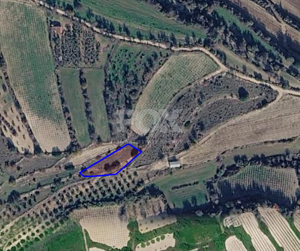 Large Field for Sale in Letymvou Village, Paphos
