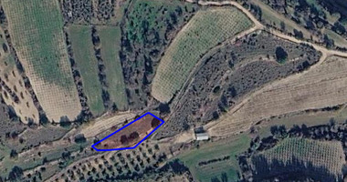 Large Field for Sale in Letymvou Village, Paphos