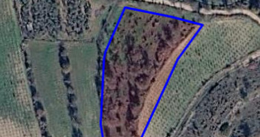 Large Field for Sale in Letymvou Village, Paphos