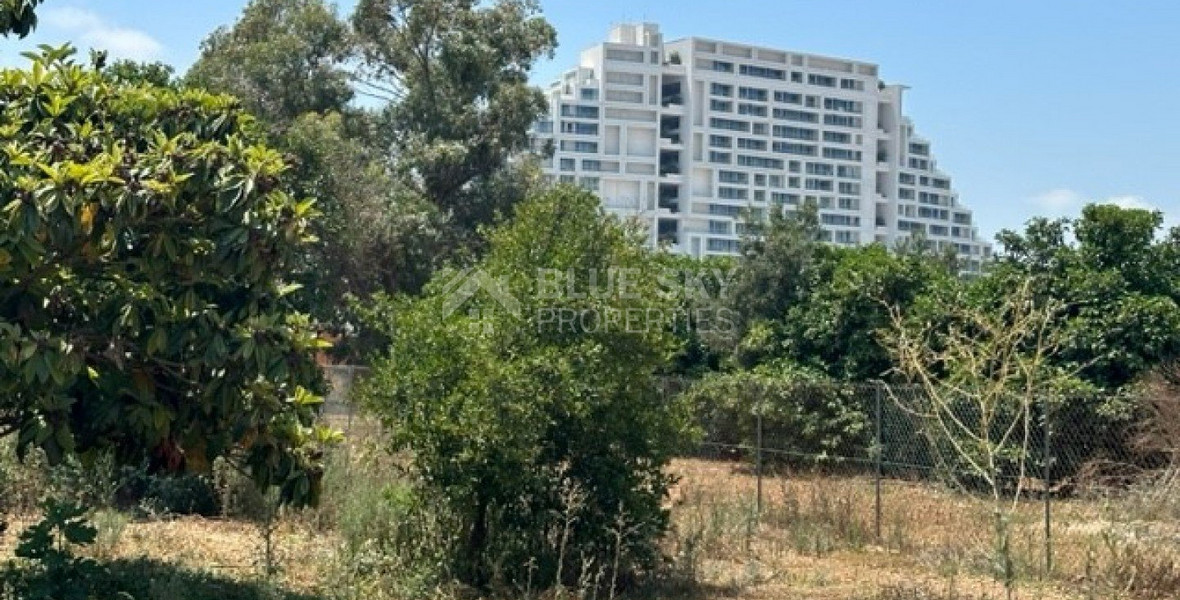 Land For Sale In Zakaki Limassol Cyprus