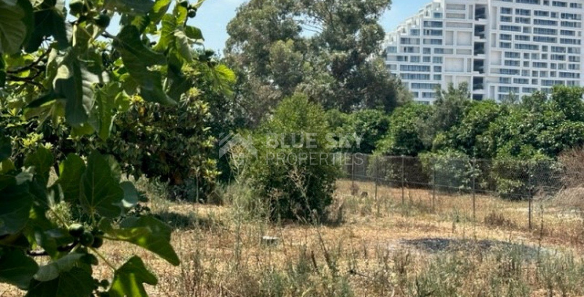 Land For Sale In Zakaki Limassol Cyprus