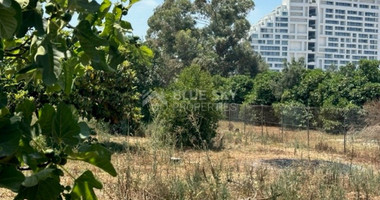 Land For Sale In Zakaki Limassol Cyprus