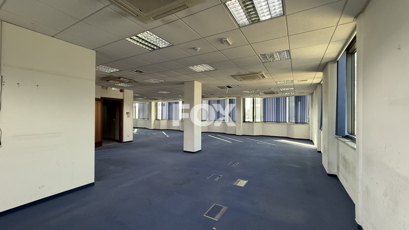 Building 1762 m² for rent in Kapsalos, Limassol, Cyprus