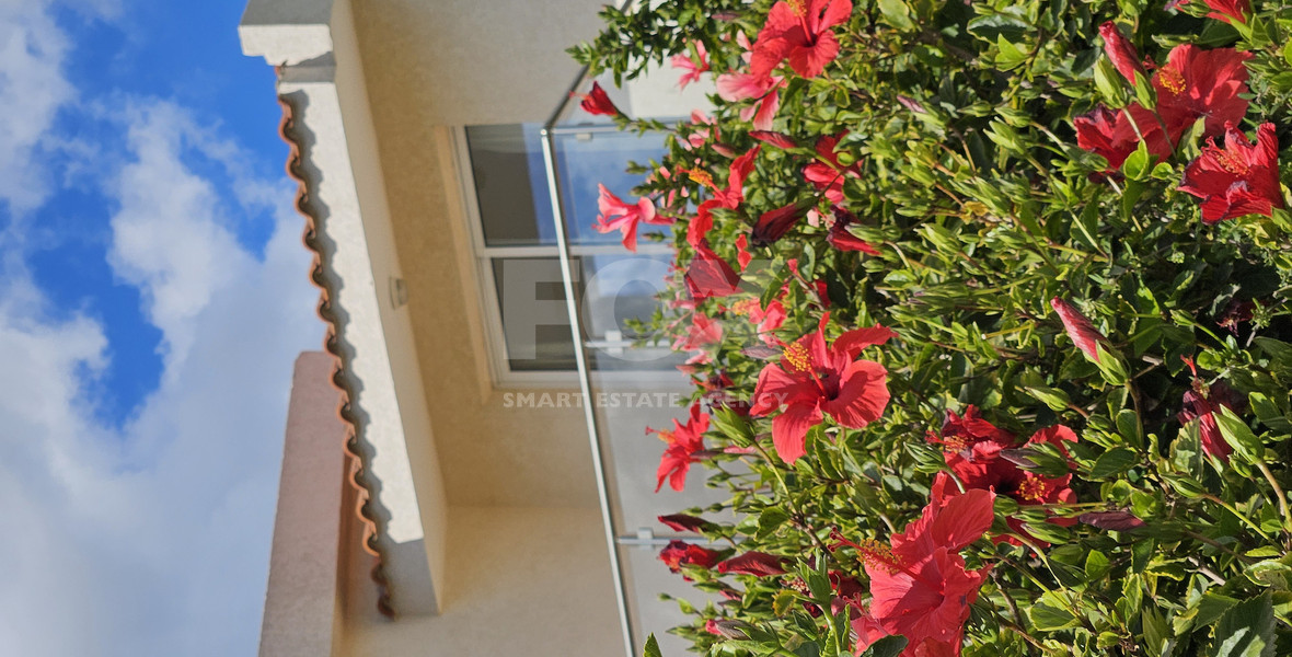 Luxury three Bedroom Villa for Sale in Coral Bay, Peyia | Private Pool & Sea Views