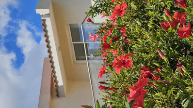 Luxury three Bedroom Villa for Sale in Coral Bay, Peyia | Private Pool & Sea Views