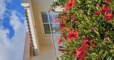 Luxury three Bedroom Villas for Sale in Coral Bay, Peyia