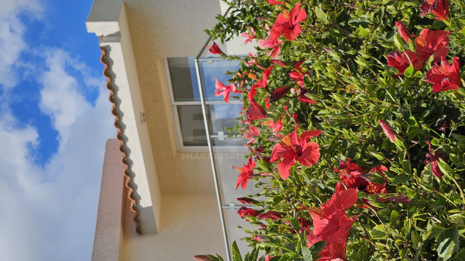 Luxury three Bedroom Villas for Sale in Coral Bay, Peyia