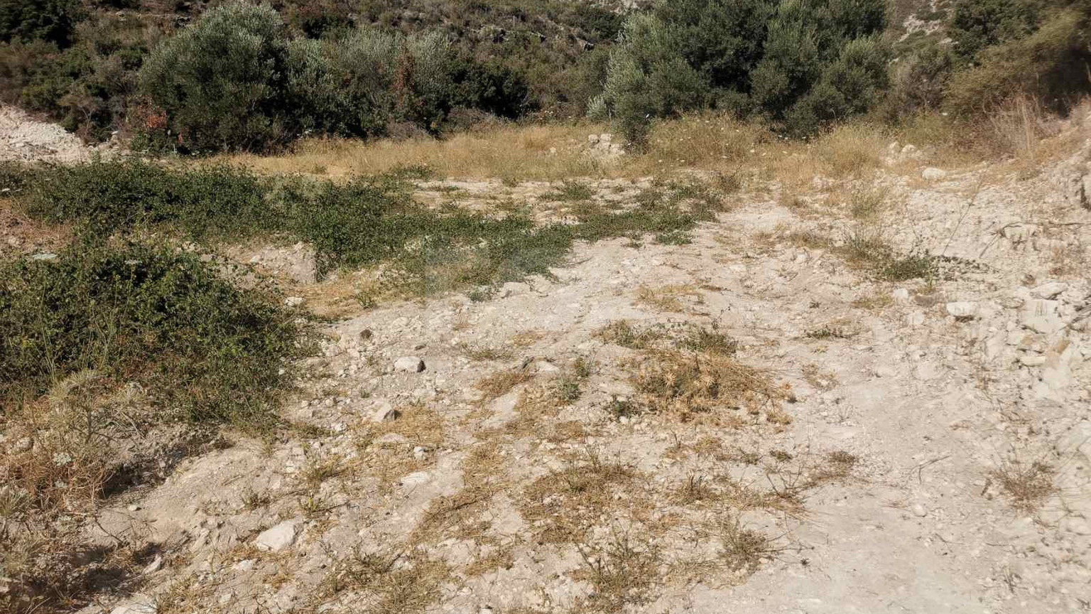 Residential Plot for Sale in Palodeia, Limassol