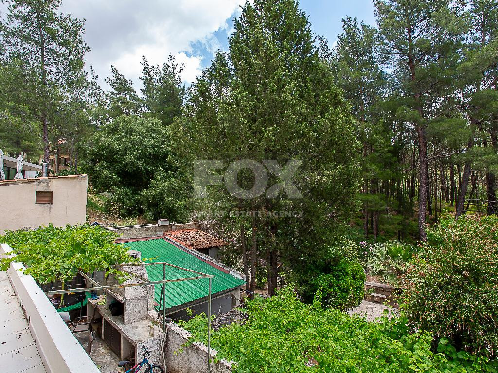 Ground Floor 4-Bedroom House with Separate Title Deed – Moniatis, Limassol Property Description