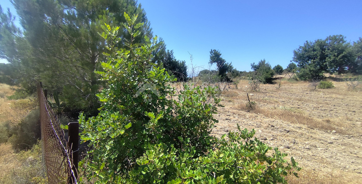 Prime Sea View Land for Sale – Anogyra, Limassol