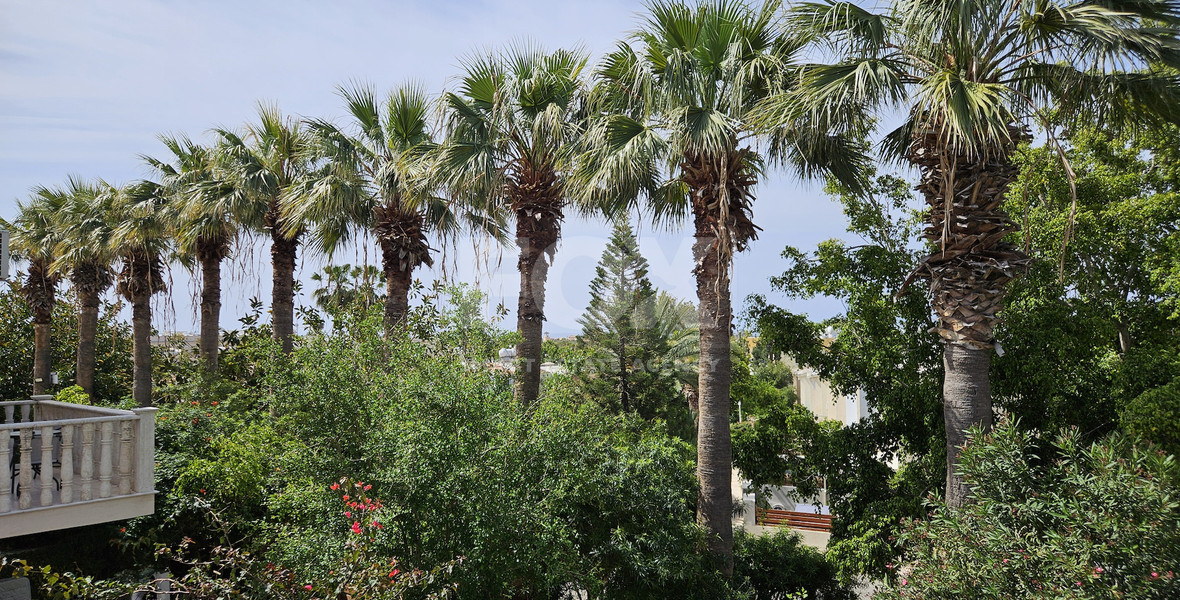 3-Bedroom Detached Villa for Sale in Tombs of the Kings, Paphos | Near Beach & City Centre