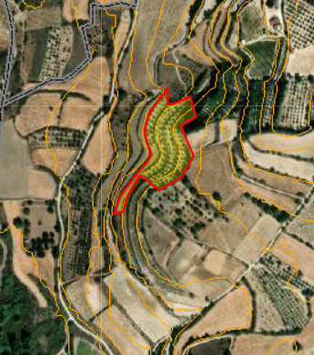 Large Field for Sale in Peaceful Lemona Village, Cyprus