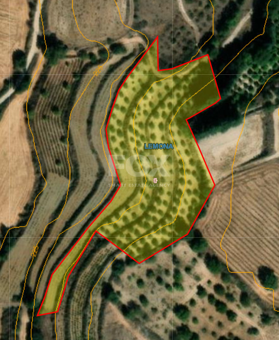 Large Field for Sale in Peaceful Lemona Village, Cyprus