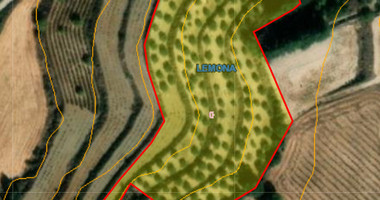 Large Field for Sale in Peaceful Lemona Village, Cyprus