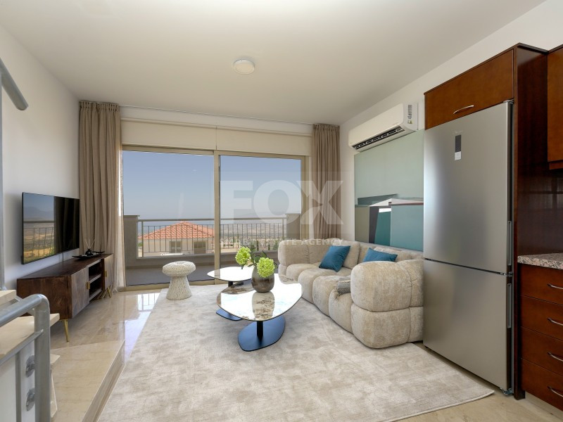1, 2 & 3 Bedroom Renovated Apartments for Sale in Drousia , Exclusive Auction Opportunity