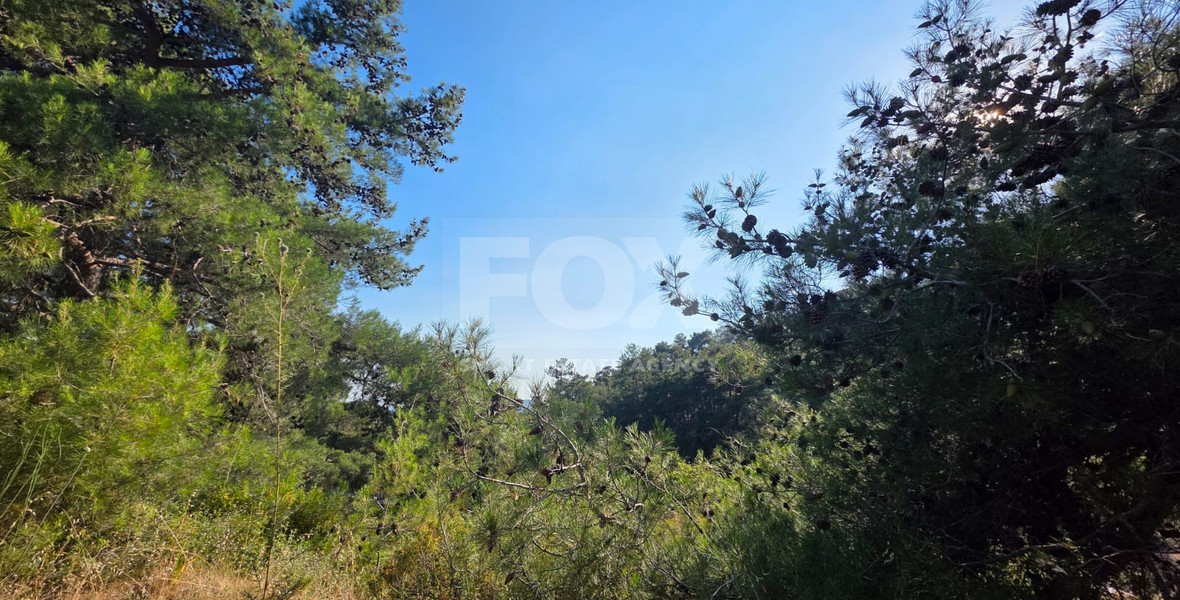 Large Building Plot 1684 m2 in Lush Pano Platres