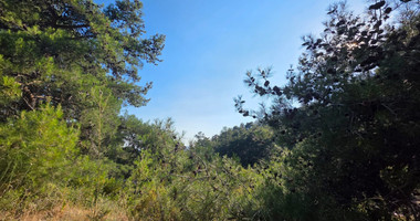 Large Building Plot 1684 m2 in Lush Pano Platres
