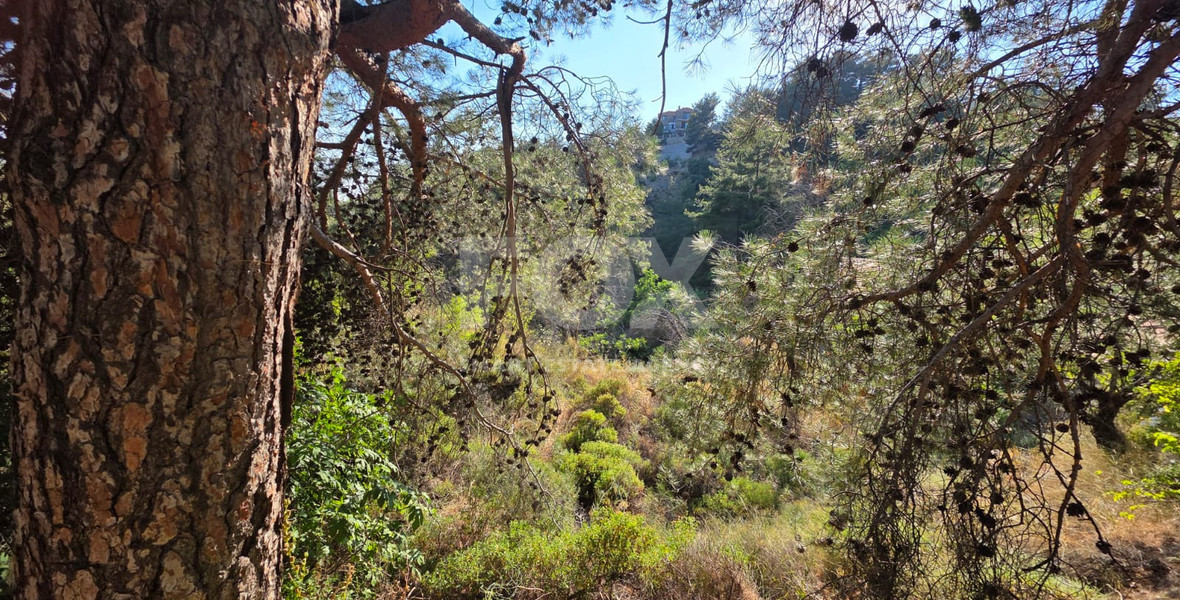 Large Building Plot 1684 m2 in Lush Pano Platres