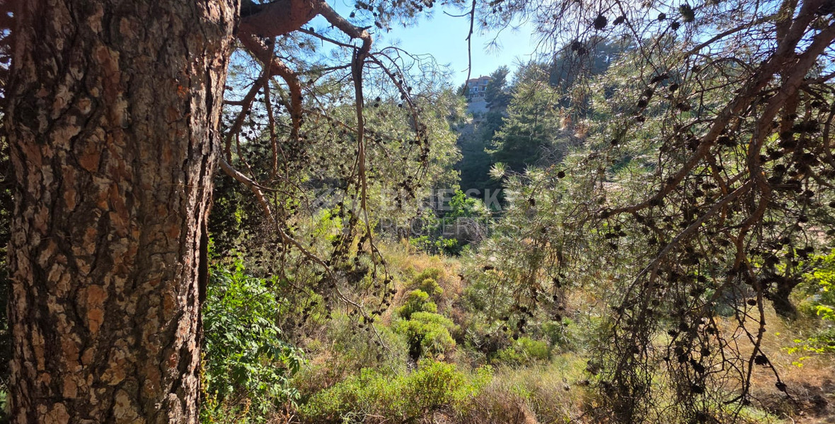 Large Building Plot 1684 m2 in Lush Pano Platres