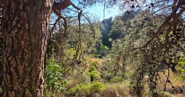 Large Building Plot 1684 m2 in Lush Pano Platres
