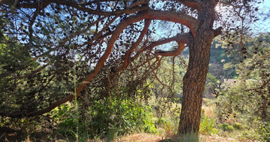 Large Building Plot 1684 m2 in Lush Pano Platres