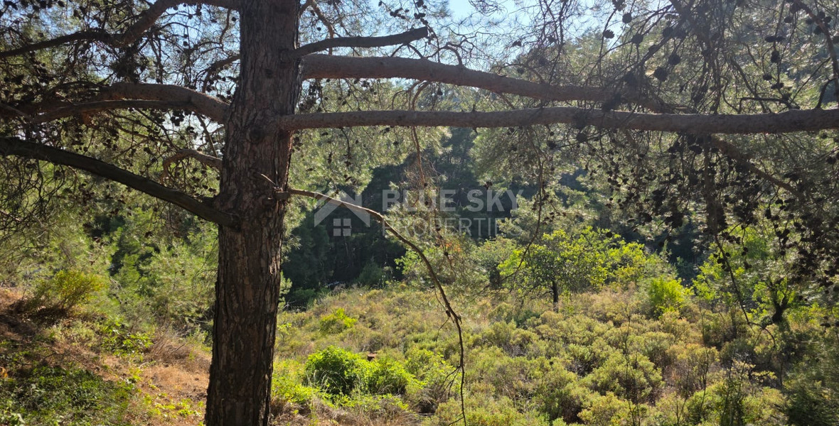 Large Building Plot 1684 m2 in Lush Pano Platres