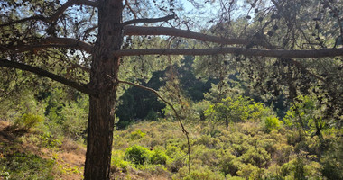 Large Building Plot 1684 m2 in Lush Pano Platres