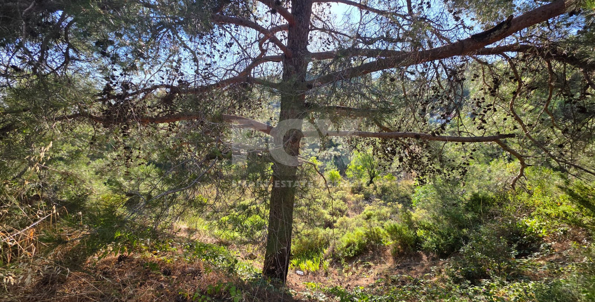 Large Building Plot 1684 m2 in Lush Pano Platres