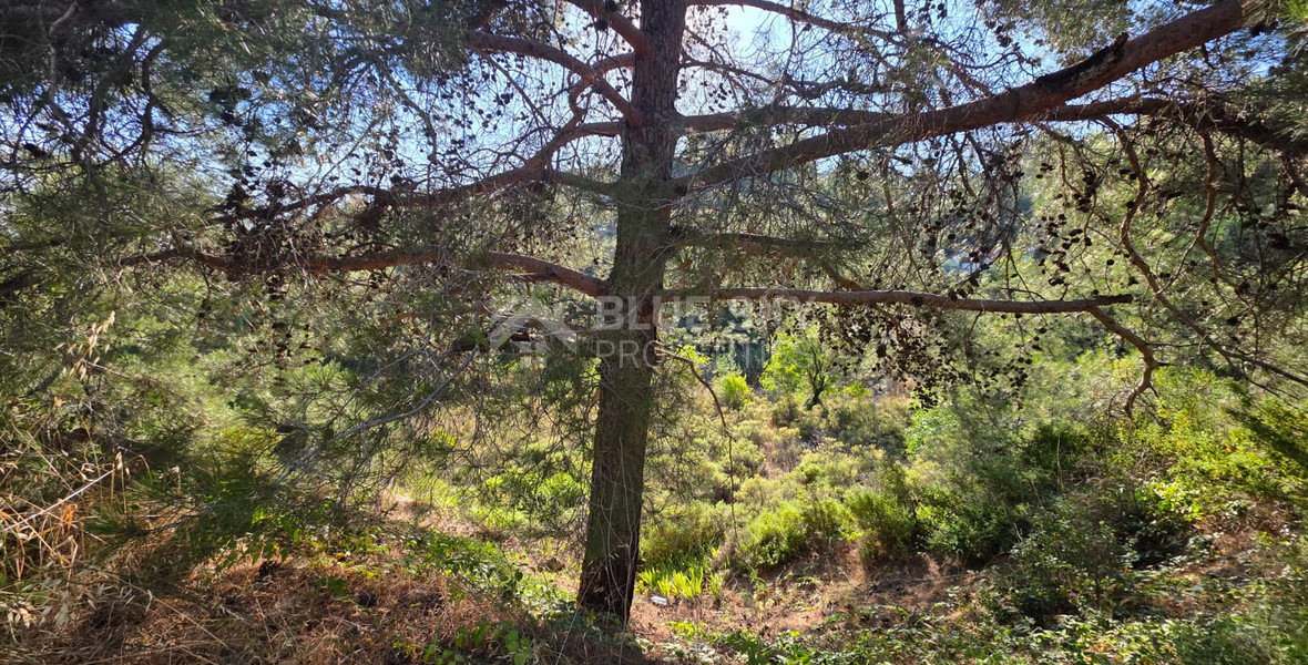 Large Building Plot 1684 m2 in Lush Pano Platres