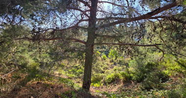 Large Building Plot 1684 m2 in Lush Pano Platres