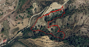 Large 16389m2 Field for Sale in Kapileio Village