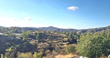 In the middle of the forest  one bedroom cozy apartment for rent in Pelendri Limassol