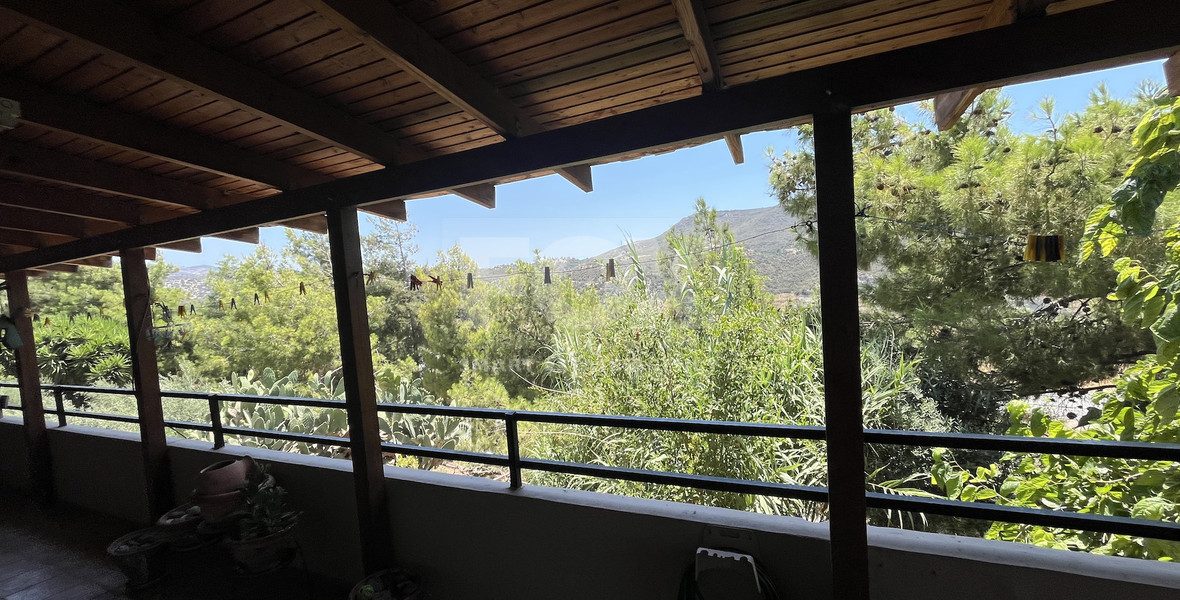 Beautiful Two-Level House in Alassa for Sale with 4+1 Bedrooms and Spacious Garden