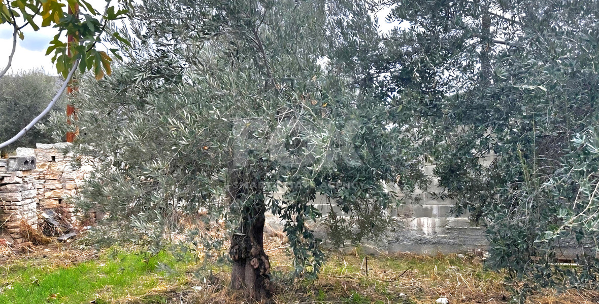 Building Plot for Sale in Silikou, Limassol | 350m² Residential Land with Listed House with Panoramic Country Views
