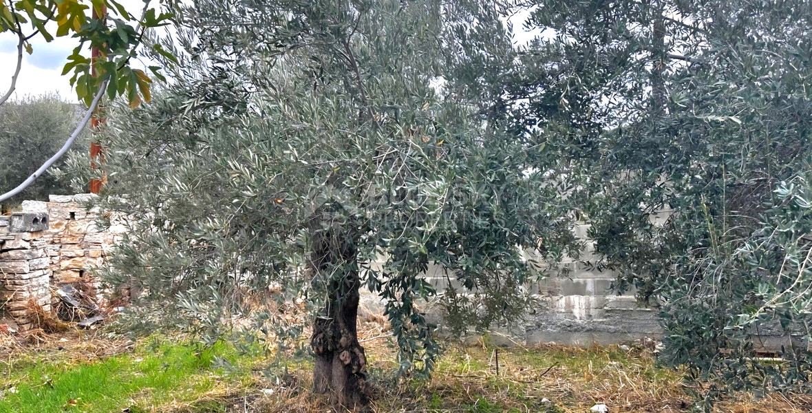 Building Plot for Sale in Silikou, Limassol | 350m² Residential Land with Listed House with Panoramic Country Views