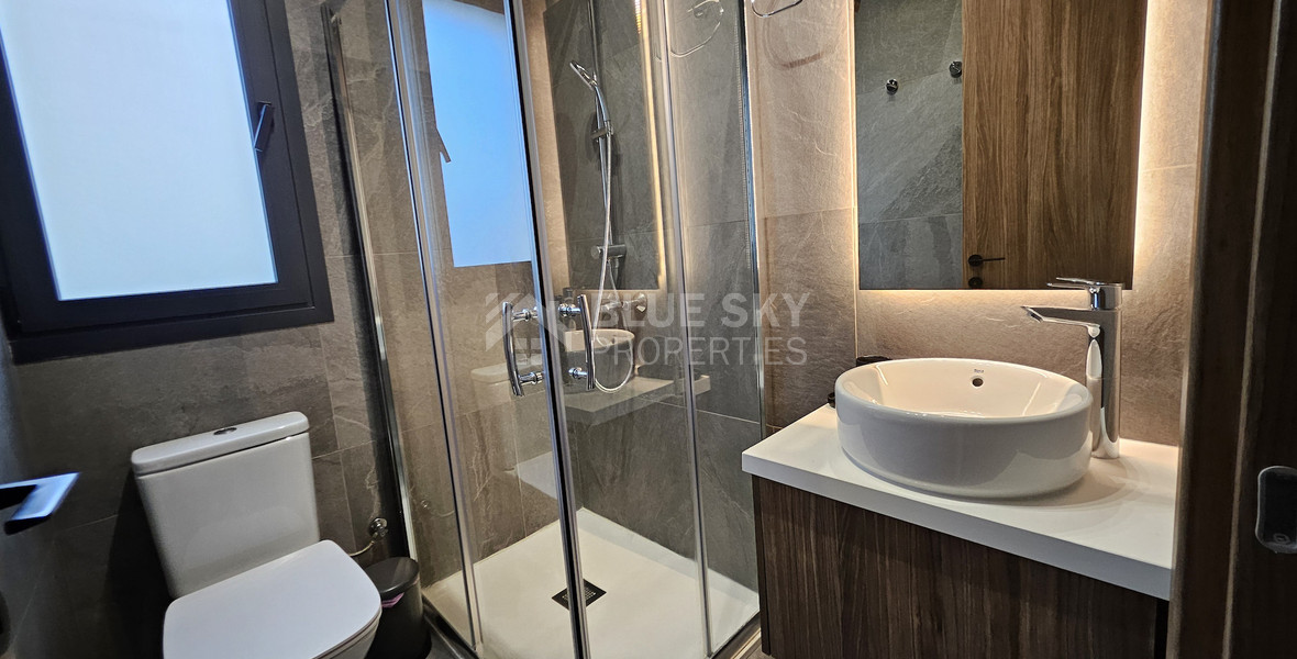 Spacious-Modern, Fully Furnished Two Bedroom Apartment in Agios Spyridwnas