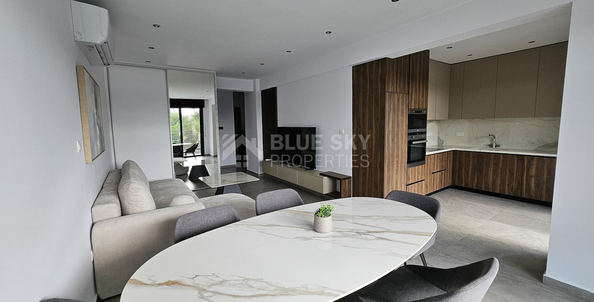 Spacious-Modern, Fully Furnished Two Bedroom Apartment in Agios Spyridwnas