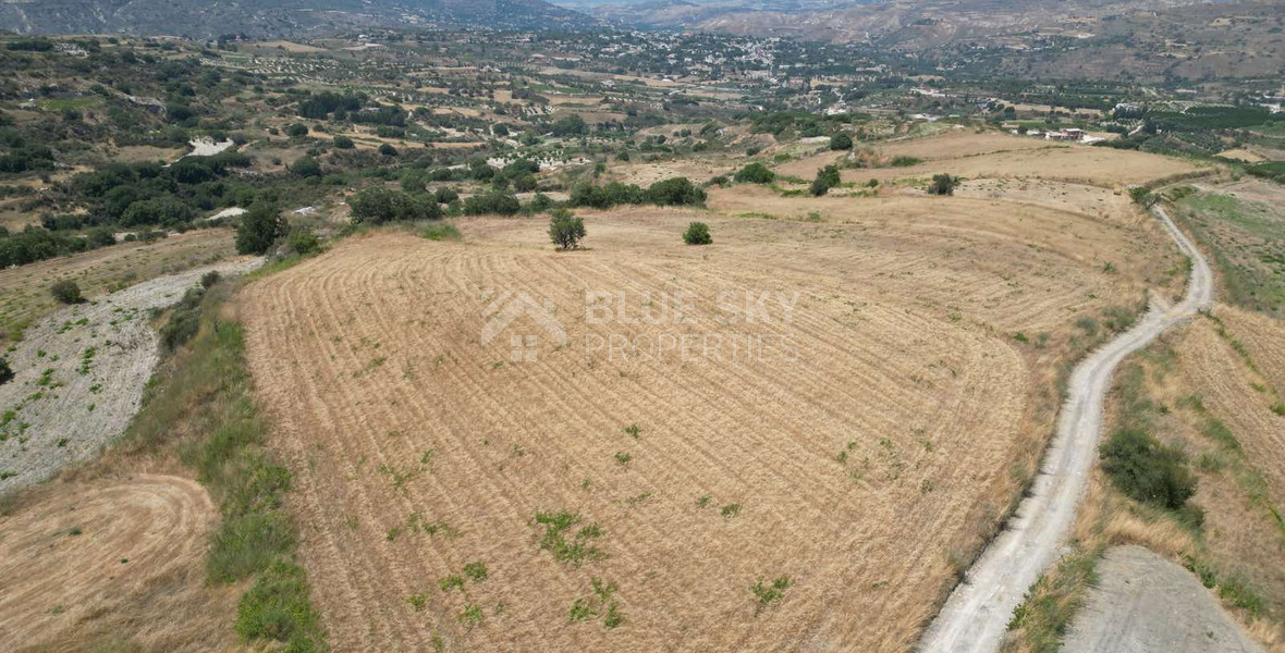 Spacious Field for Sale in Stroumbi, Paphos – Excellent Investment Opportunity