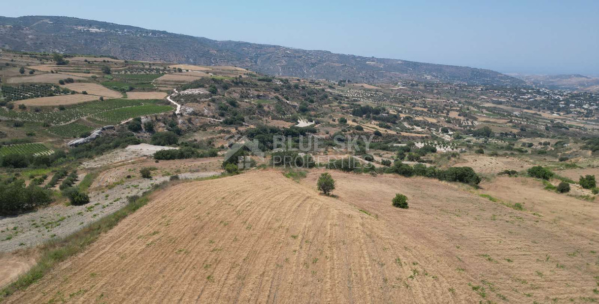 Spacious Field for Sale in Stroumbi, Paphos – Excellent Investment Opportunity