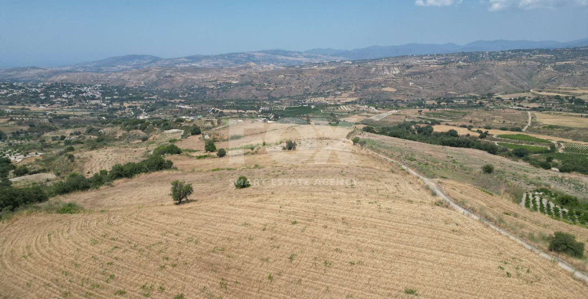 Spacious Field for Sale in Stroumbi, Paphos – Excellent Investment Opportunity