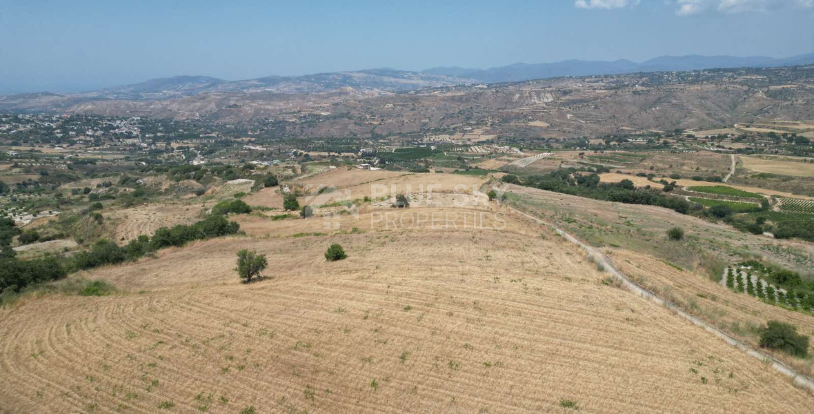 Spacious Field for Sale in Stroumbi, Paphos – Excellent Investment Opportunity