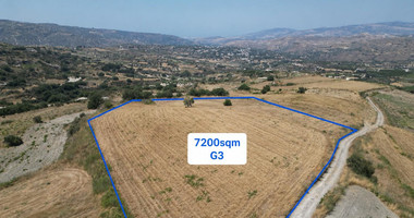 Spacious Field for Sale in Stroumbi, Paphos – Excellent Investment Opportunity