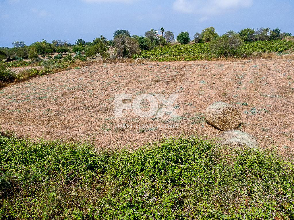 Residential Development Land for Sale in Kathikas, Paphos