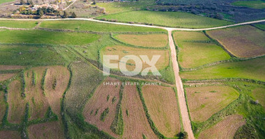 Touristic Development Field for Sale in Paphos District | Investment Opportunity with Road Access