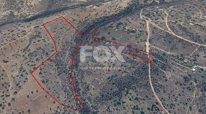 Large Field with Stone House for Sale in Sotira Lemesou