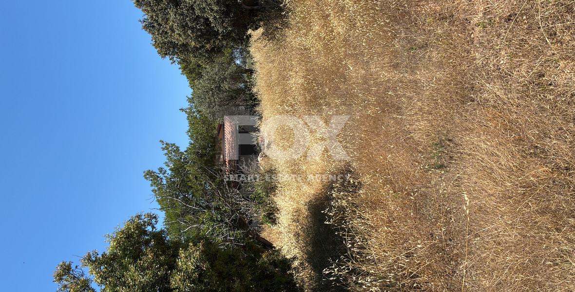 Large Field with Stone House for Sale in Sotira Lemesou