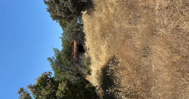 Large Field with Stone House for Sale in Sotira Lemesou