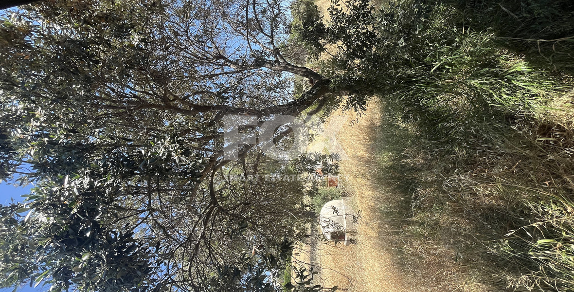 Large Field with Stone House for Sale in Sotira Lemesou